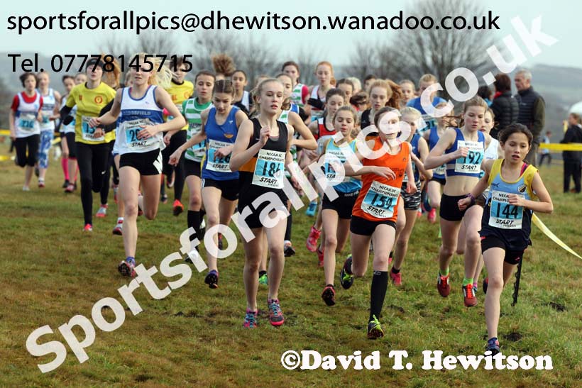 Girls under-13s North Eastern Cross Country, Aykley Heads, Durham. Photo: David T. Hewitson/Sports for All Pics